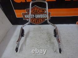 Harley Davidson BAGGER NOS/OEM 52300257 Chrome QUICK RELEASE SISSYBAR NO PAD