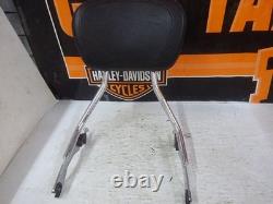Harley Davidson BAGGER NOS/Rpl 52300257 Chrome QUICK RELEASE SISSYBAR WITH PAD