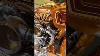Harley Davidson Bagger Nice Colour Shorts Custom