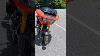 Rare Harley Davidson Bagger Rr Walk Around