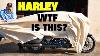 What The F Is Harley Doing Now
